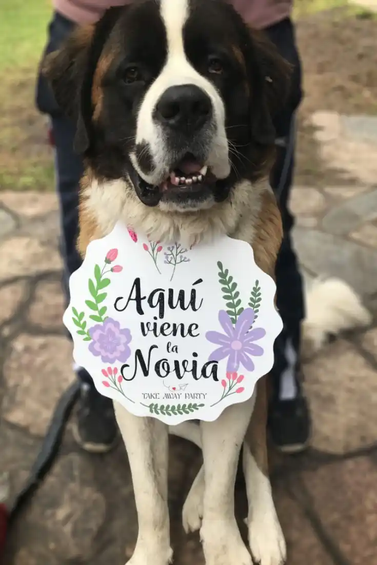 Una boda poco común ¡Es real!