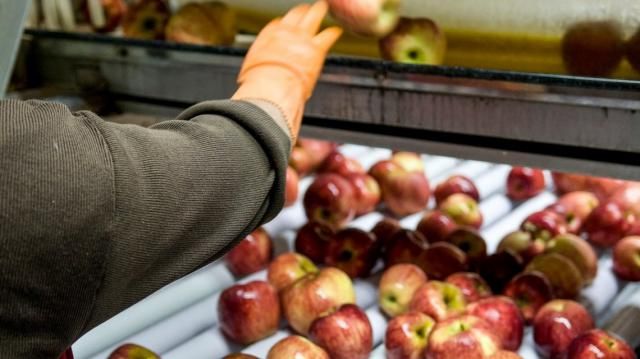 Bajan las retenciones para productos de las economías regionales
