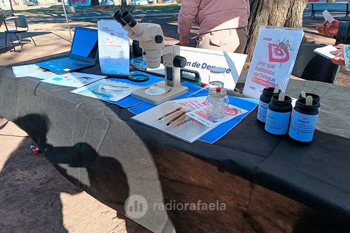 Operativo dengue 2.jpg