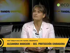 Principales aspectos del informe trimestral de gestión