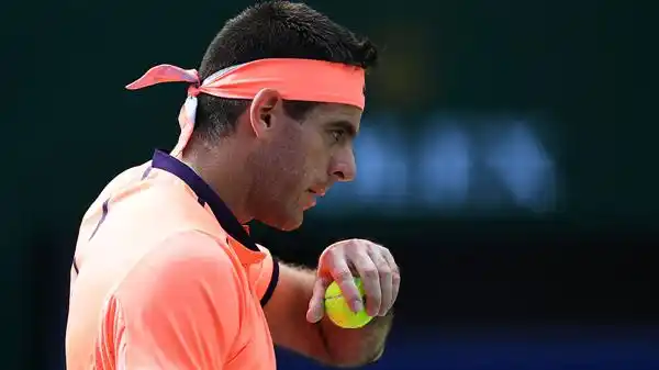 La bronca y el insulto de Del Potro a su rival en pleno partido