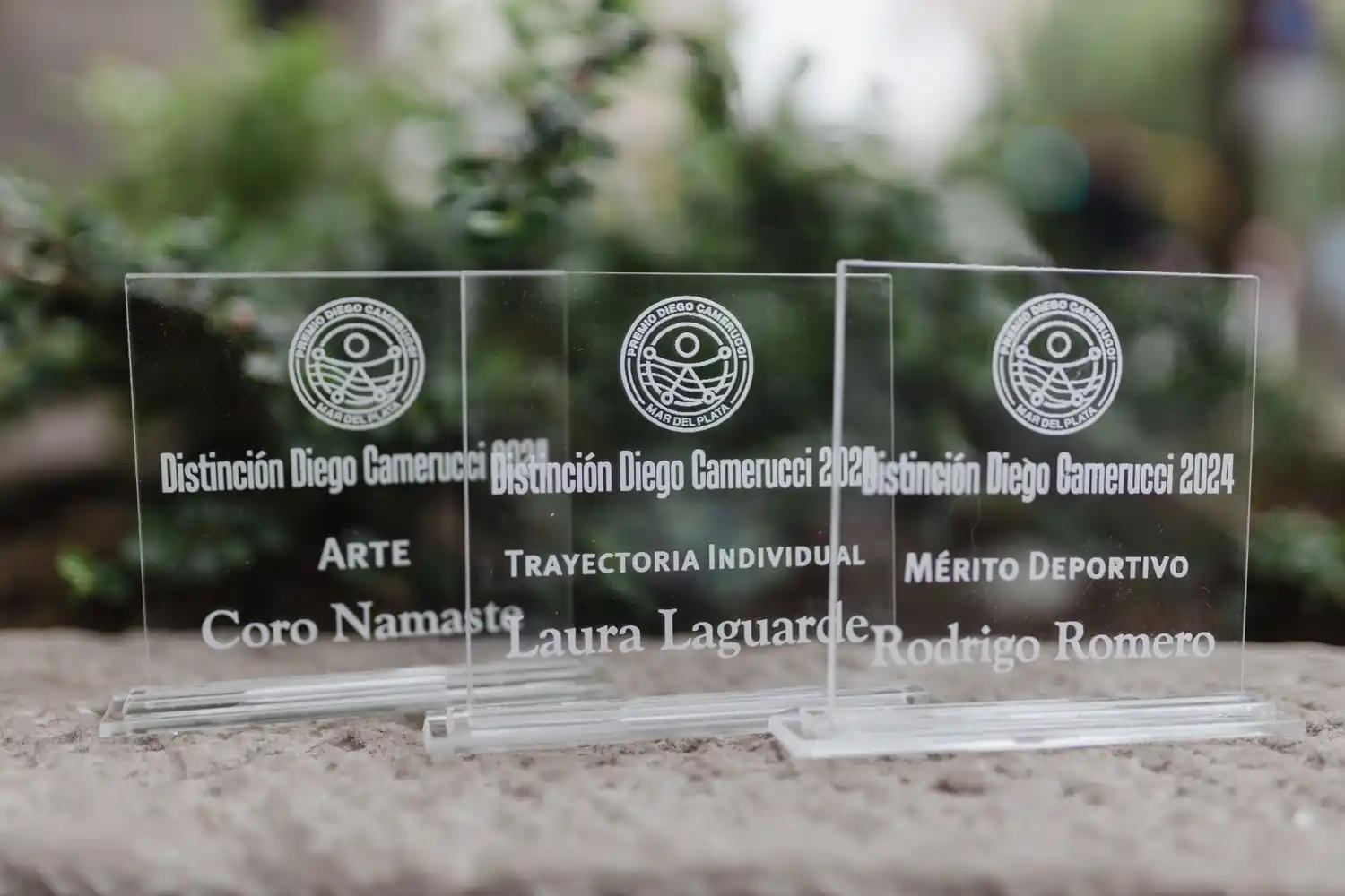 Estas distinciones reconocen a personas y entidades de la ciudad por su trayectoria, méritos y compromiso con la comunidad.