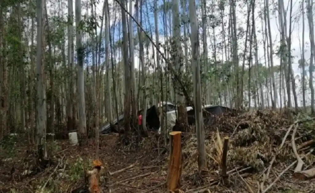 Rescatan a ocho personas que eran explotadas en una finca de Concordia