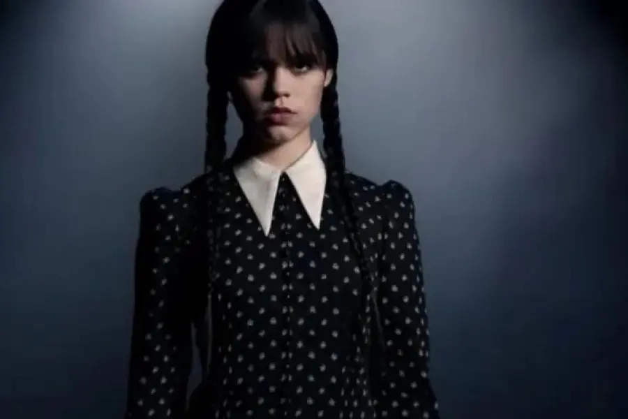 Netflix estrenó una serie adaptada a los Locos Addams de Tim Burton