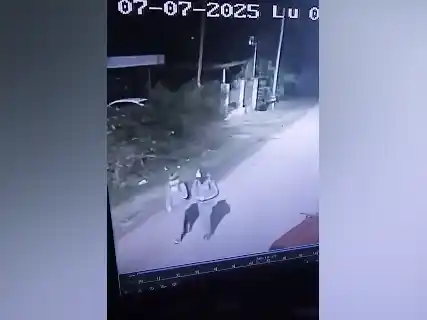 Encontraron con vida a los dos hermanos rusos que habían desaparecido de camino al colegio en provincia de Buenos Aires