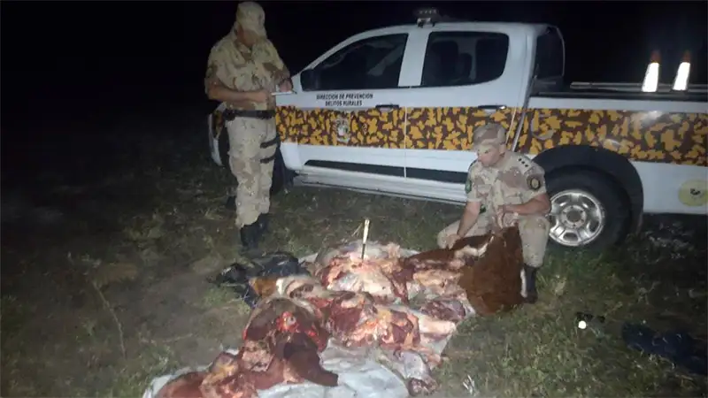 Incautaron 150 kilos de carne vacuna a cuatreros en un campo entrerriano