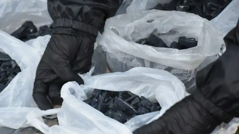 Megaoperativos antidroga en Córdoba: 11 detenidos y millonario secuestro de estupefacientes - 2