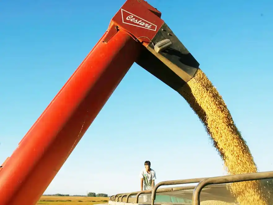 La recaudación tributaria cayó en febrero por séptimo mes consecutivo