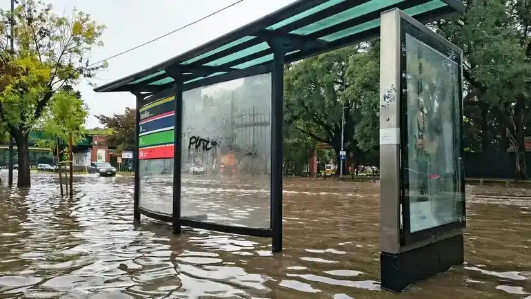 Un periodista encontró un pez en plena calle tras el temporal en Buenos Aires y el video se volvió viral