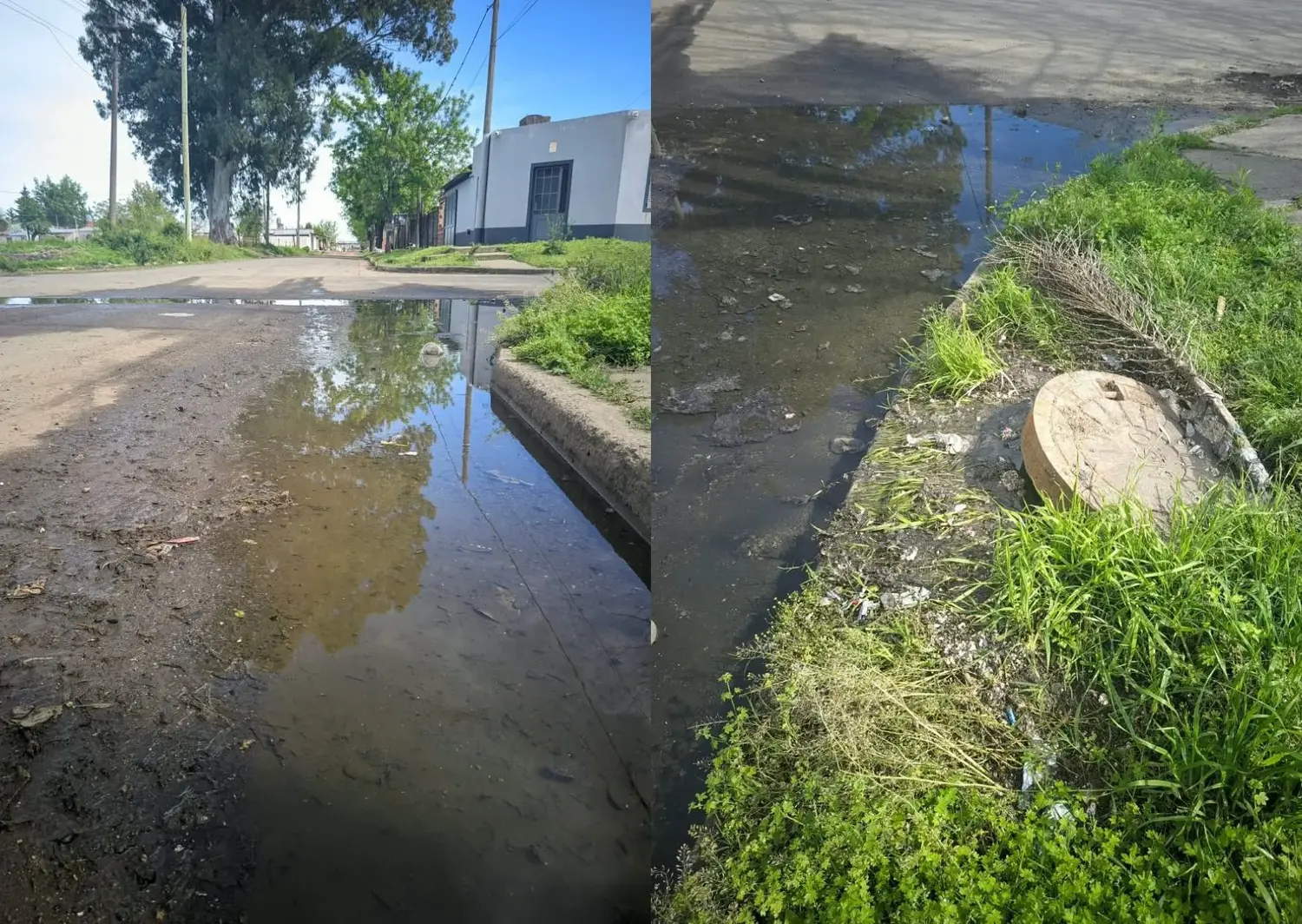 Cloacas tapadas en barrio 49 viviendas