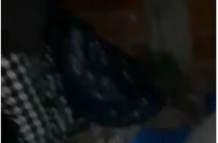 Denunció que su vecino mató a puñaladas a su perra