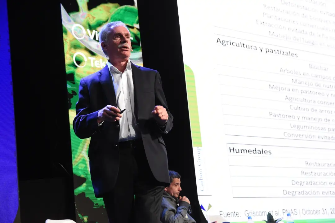 Bonos de Carbono: las respuestas a las ocho preguntas más frecuentes