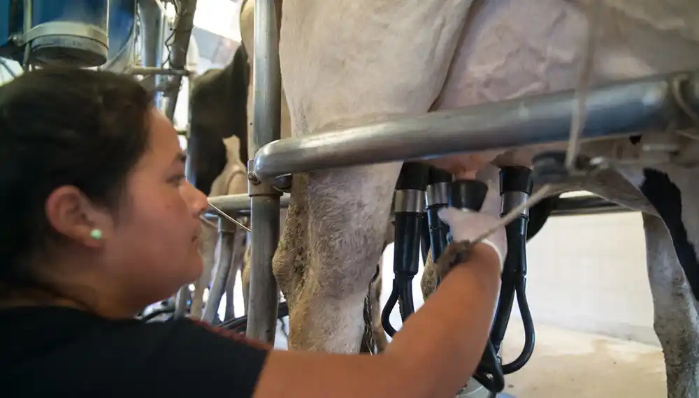 Agricultura entregó $4 millones a pequeños productores de Entre Ríos