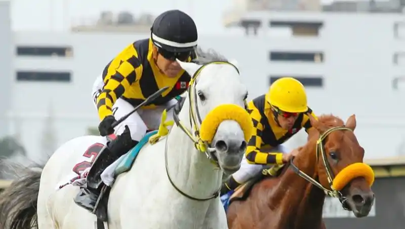 Viernes 23: Actividad Hipódromo de San Isidro