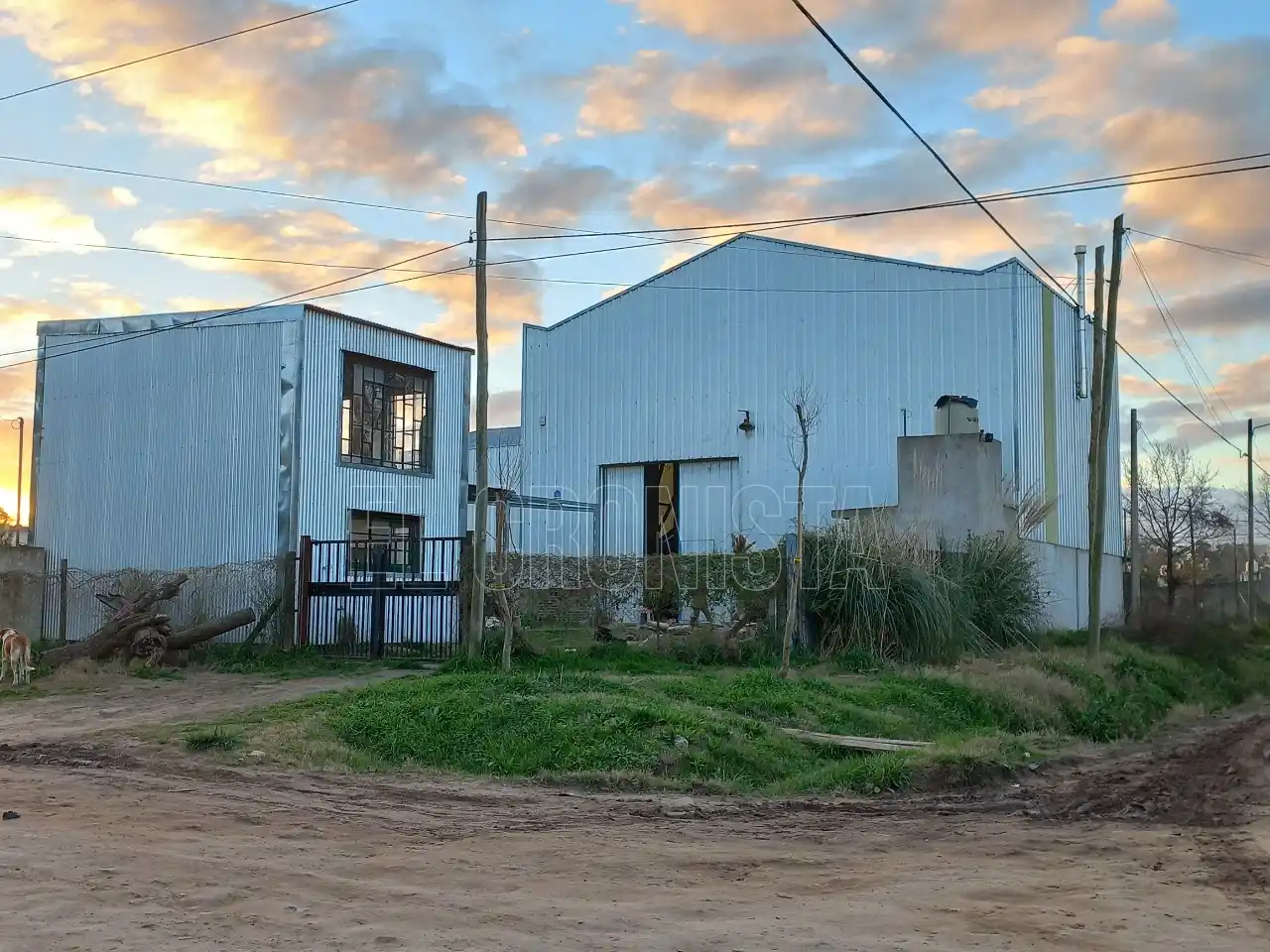 Este sábado en Chascomús se proyectará el documental “Des-Orden patriarcal”