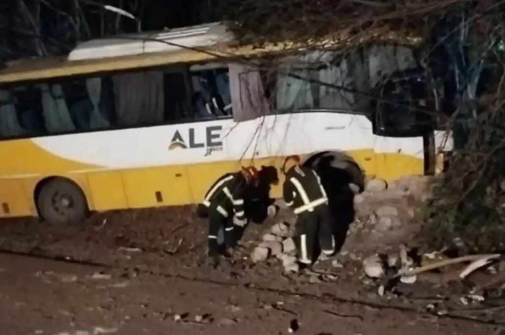 Tragedia en Salta: murió una mujer tras impactar un colectivo contra un muro cerca de El Carril
