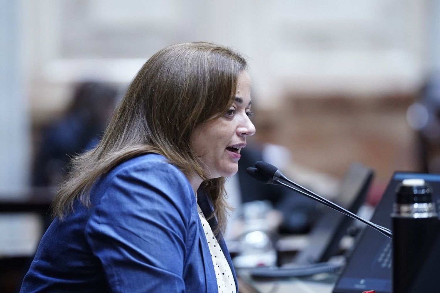 Cecilia Moreau afirmó que Massa “tiene la claridad de saber los problemas reales de los argentinos”