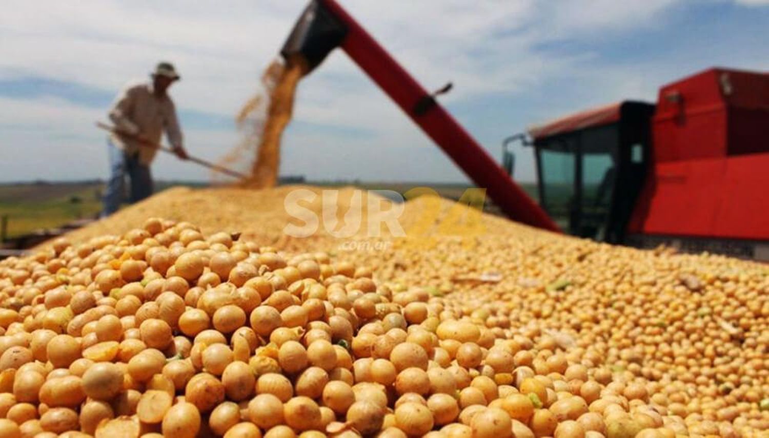 Casi dos tercios de la renta agrícola nacional queda en manos del Estado