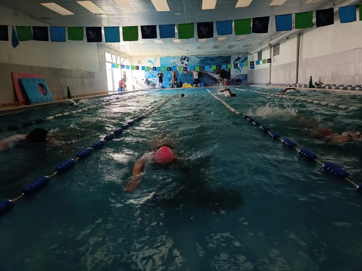Los guardavidas hicieron su prueba anual, para revalidar su puesto laboral
