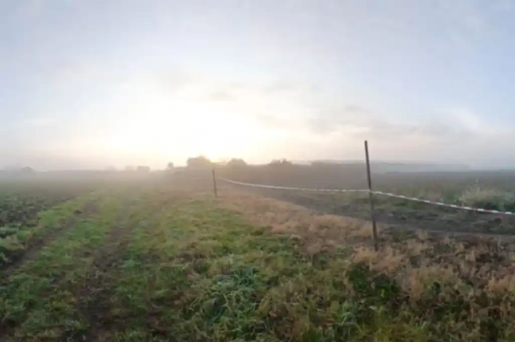 La zona donde ocurrió el macabro hallazgo