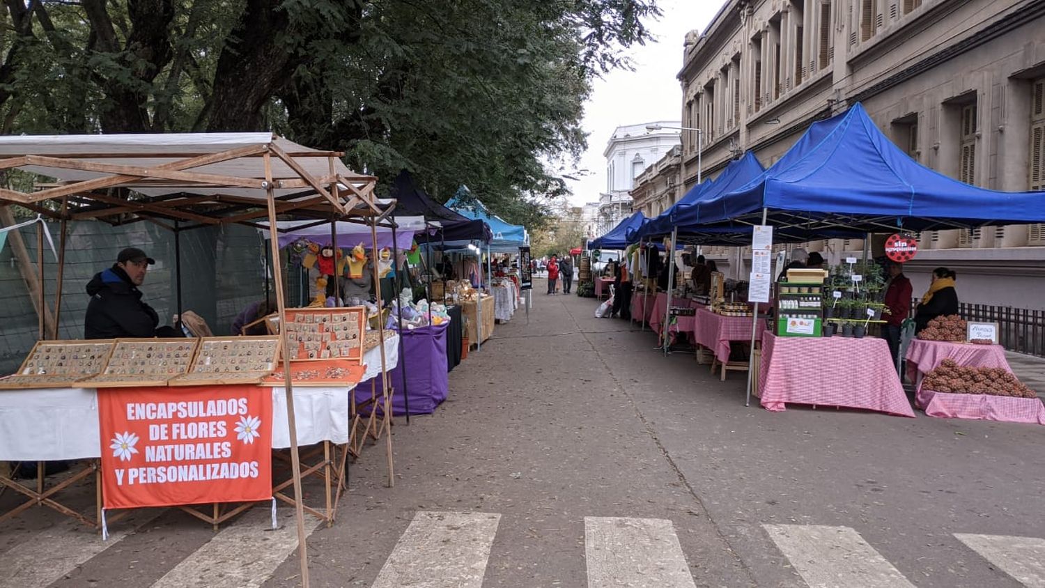 Feria Frutos de la Tierra y el Río cierra 2024 con puestos de venta frente a plaza Constitución