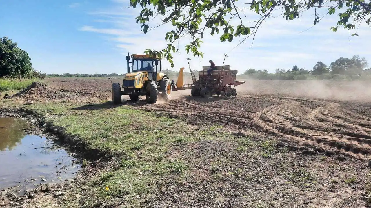 Sigue la entrega de insumos
a productores del interior