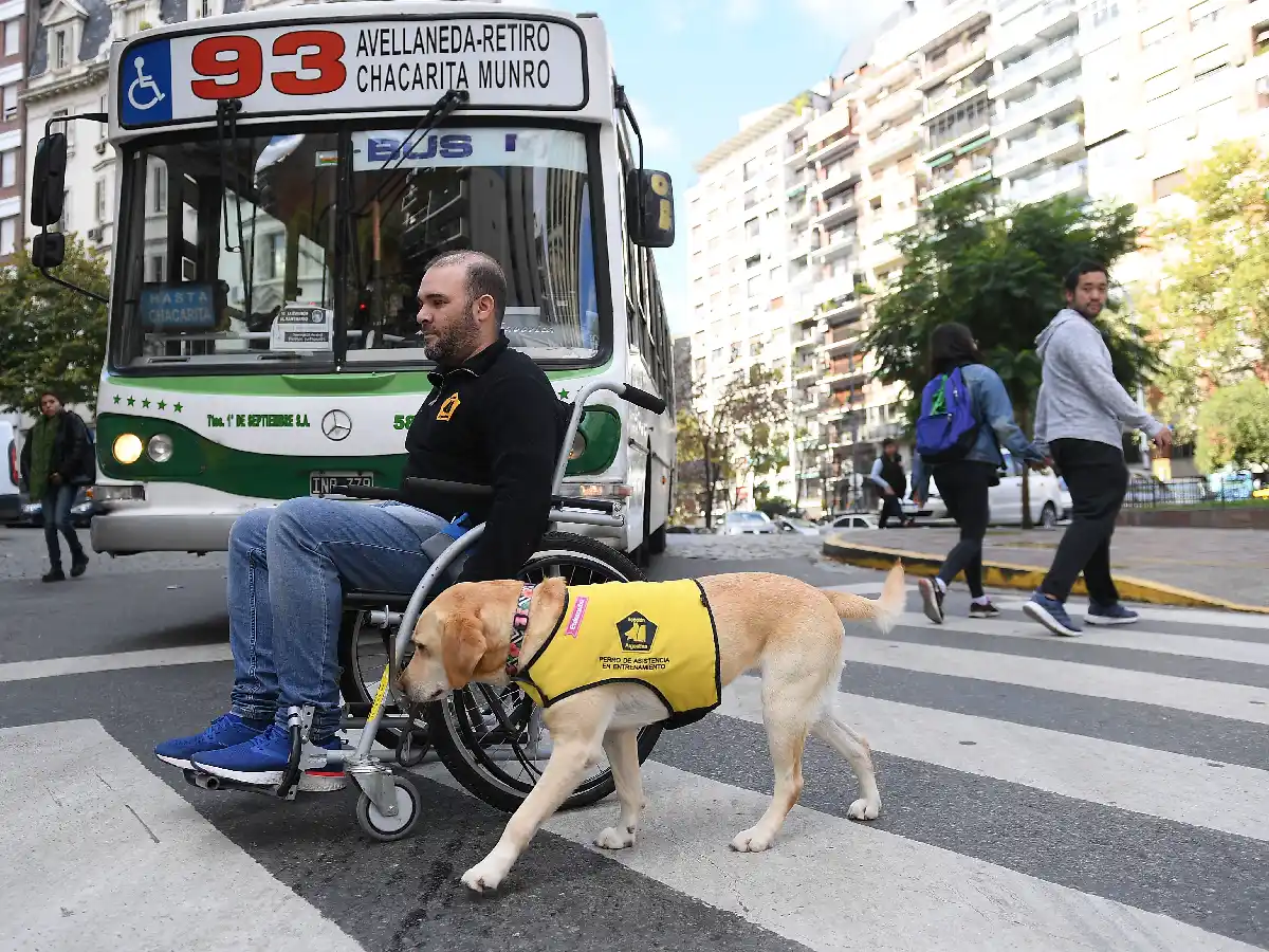 Proyecto Bocalán: niños con autismo mejoran su calidad de vida junto a perros de asistencia