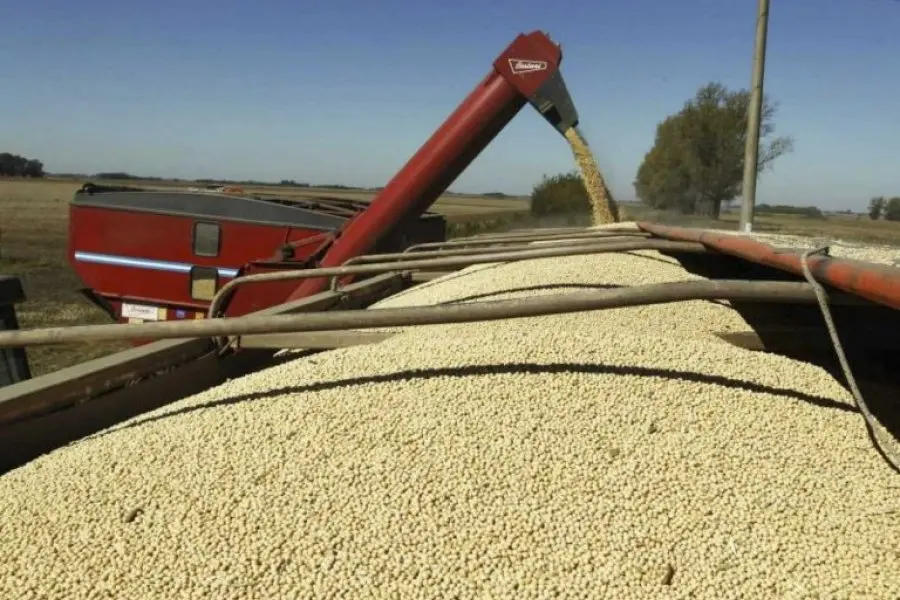 La liquidación de exportaciones de cereales en mayo alcanzó los 4.212 millones de dólaresR