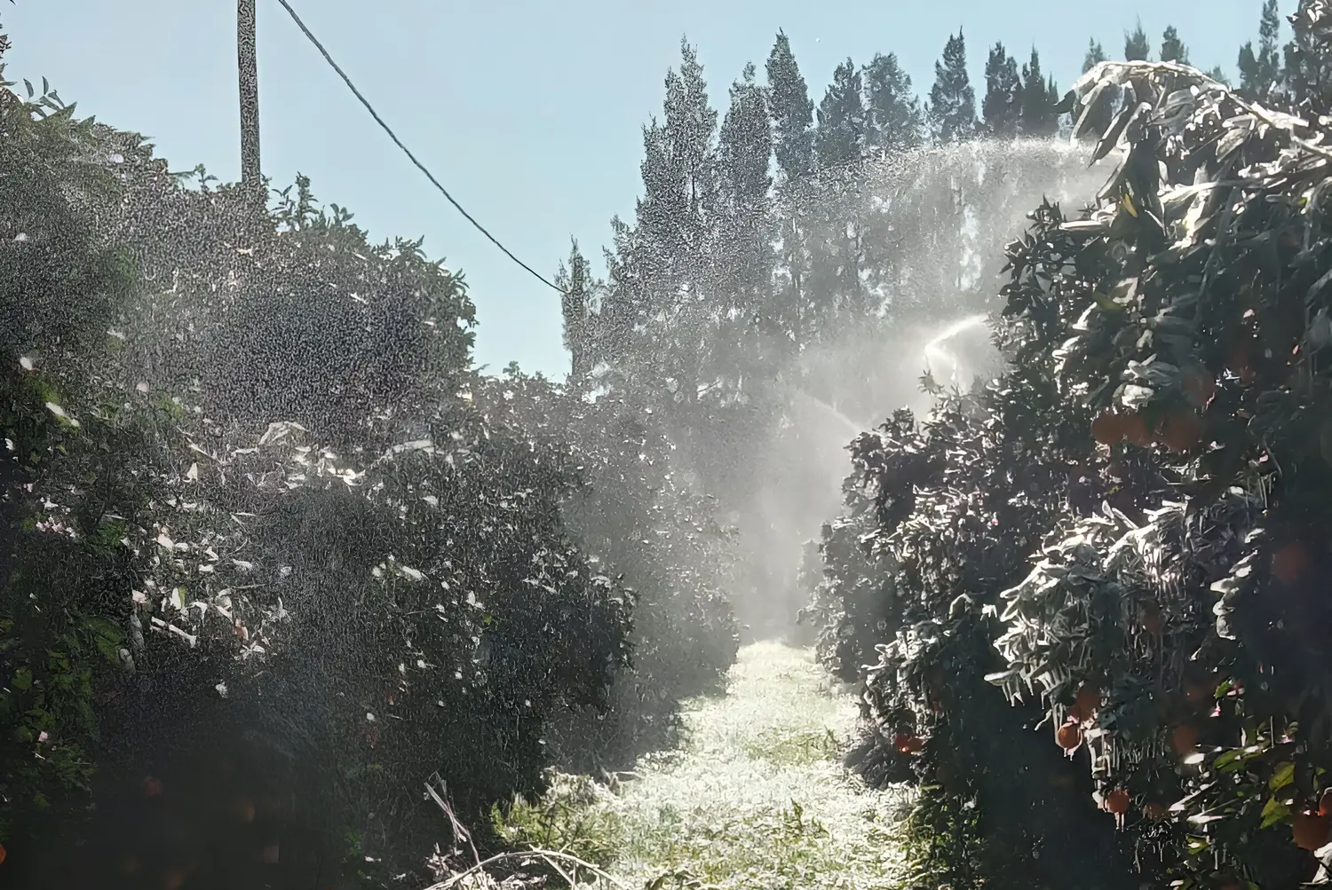 El 6 de Julio, el registro superó el record de baja temperatura de 1965 que se prolonga con una nuema marca este 9 de Julio.