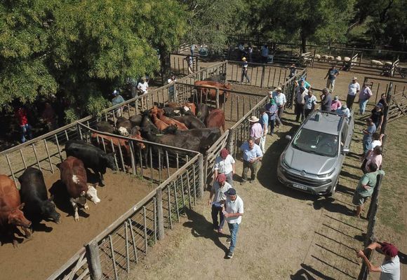 Los Arzoz mañana se van de feria