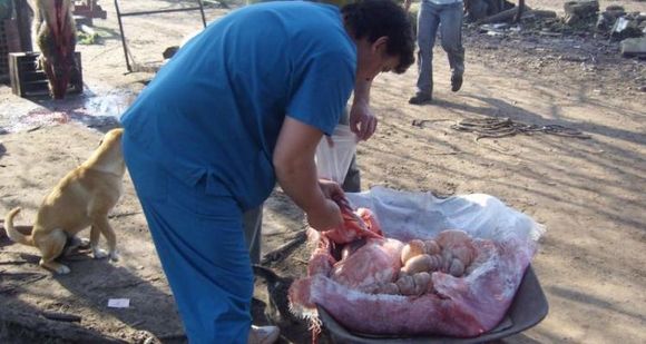 Triquinosis: "Se niegan a dar información", hay 14 personas afectadas por el brote, dijo Saverio Gutiérrez