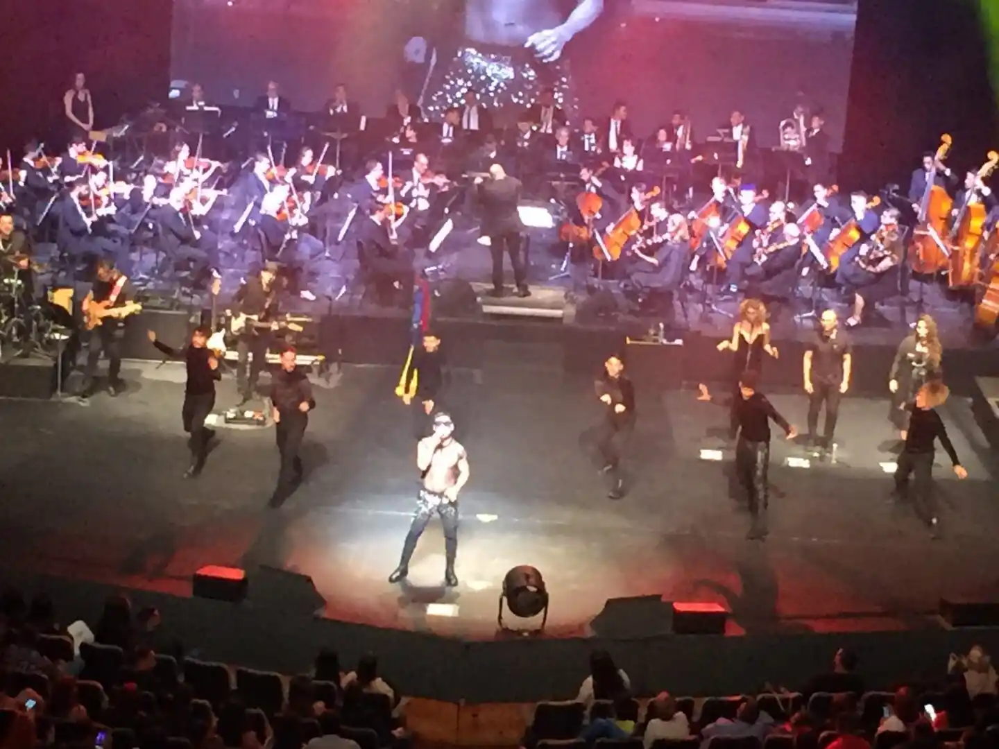 Samo quedó «mudo» por problemas eléctricos