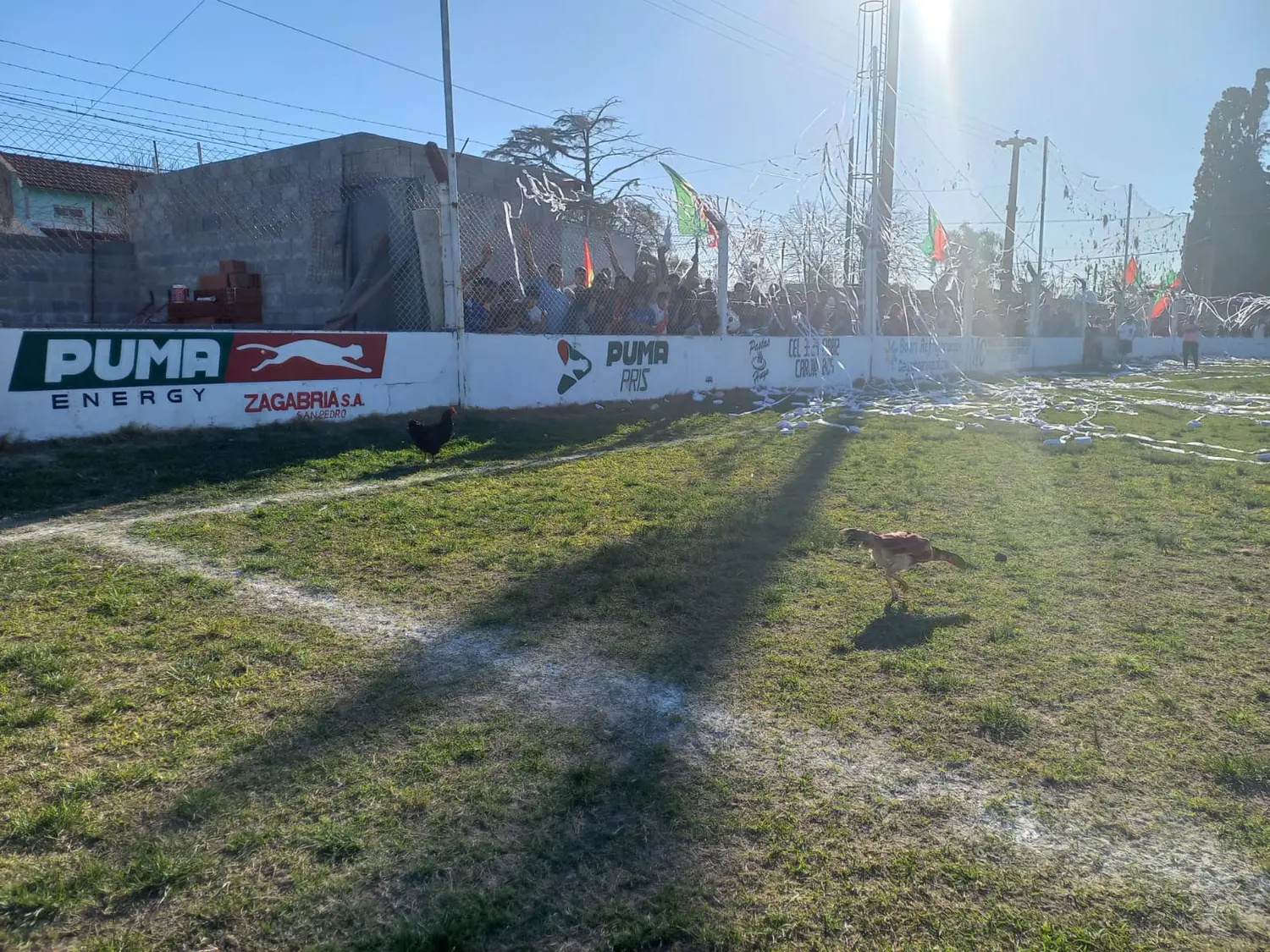 Metieron dos gallinas en el partido entre Paraná y CADU