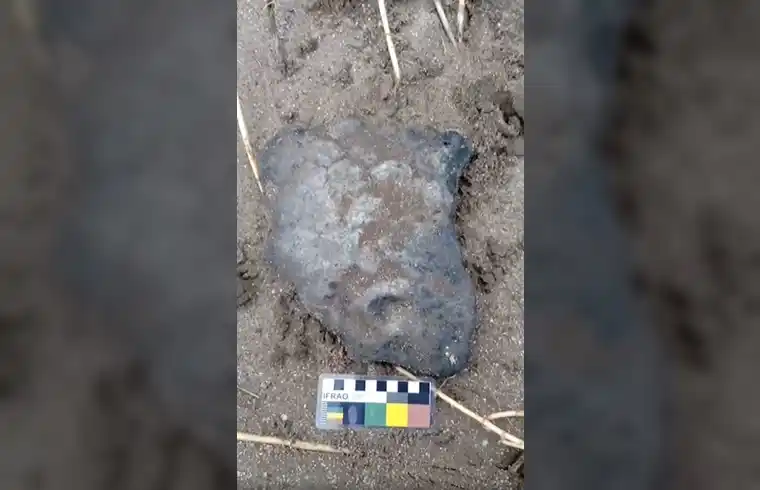 Nueva Atlantis: Tras la tormenta, apareció un fósil de gliptodonte