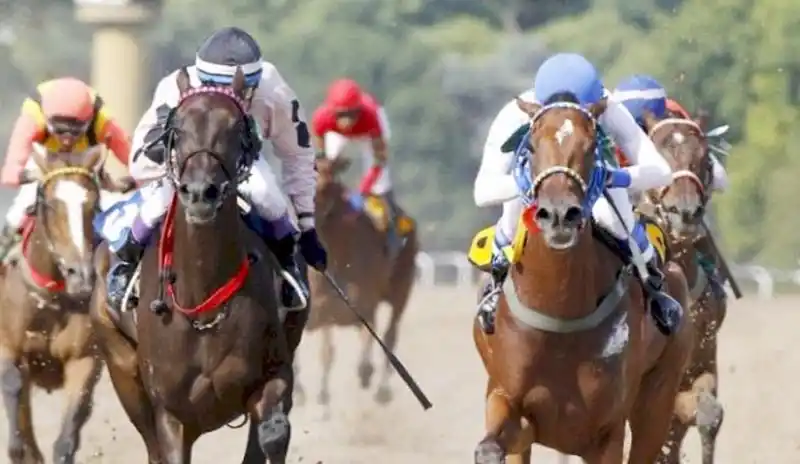 Domingo 23: Actividad Hipódromo de La Plata