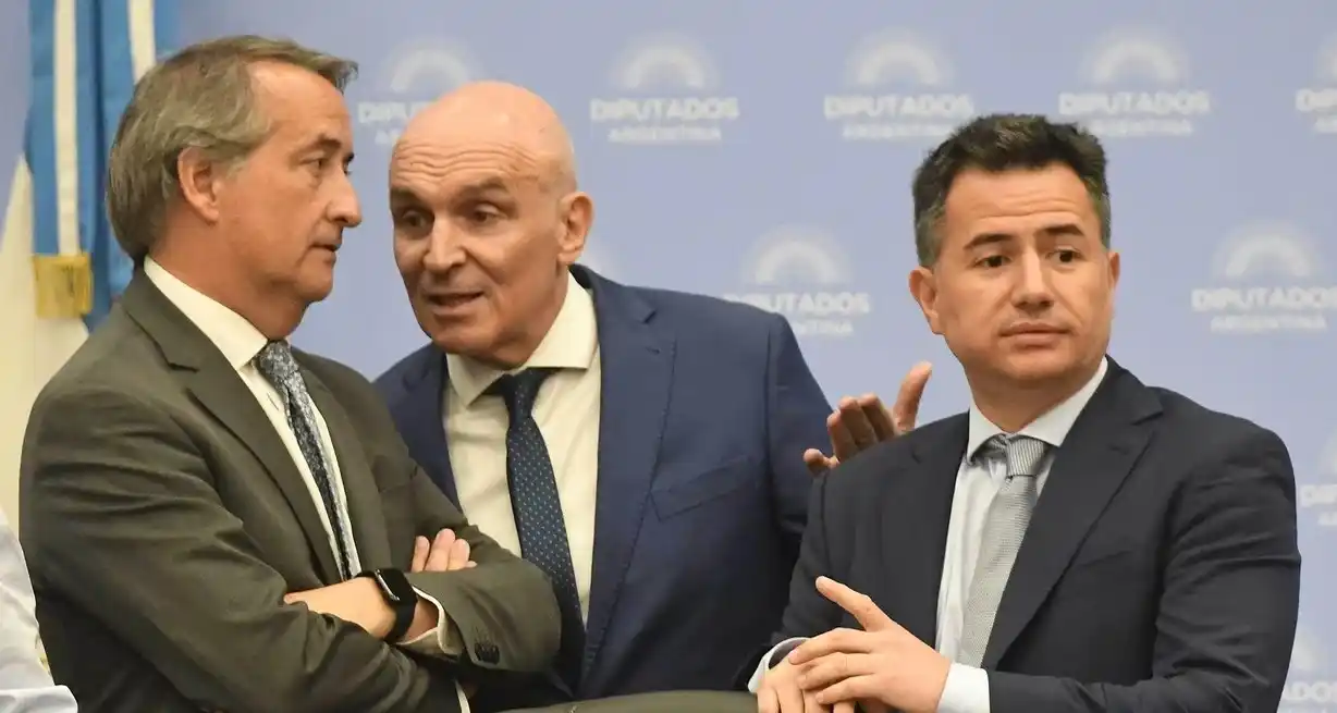 Espert en la comisión de Presupuesto junto a Mayoraz y Bornoroni.