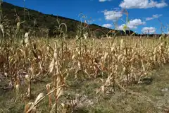 La sequía y el mal uso y gestión del agua