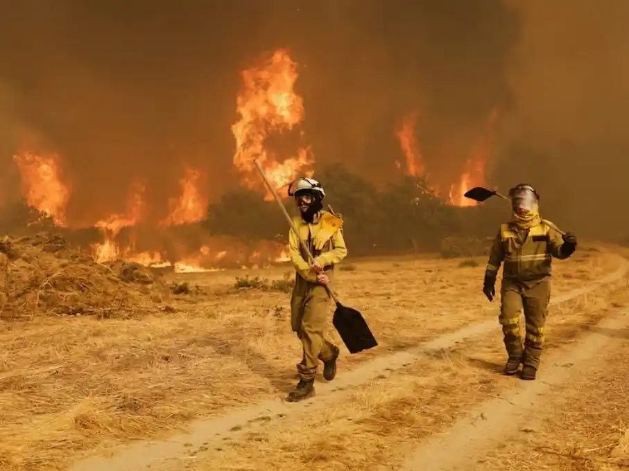Galicia, Castilla y León y Extremadura, las regiones más afectadas
