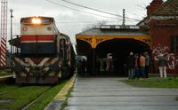Se estudia activar ramal del tren que une Tandil - General Guido y de ahí a Constitución