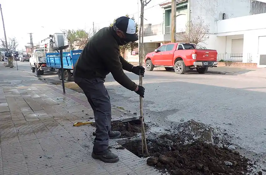 Tandil no detiene el plan Forestal del Bicentenario