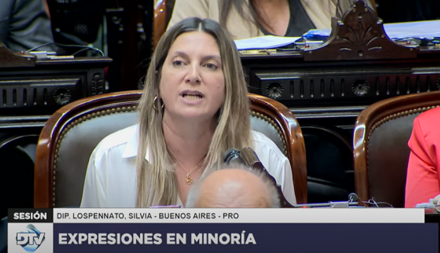 Se cayó la sesión en Diputados por la Ficha Limpia: "Festejan los corruptos y los terroristas", dijo Silvia Lospennato