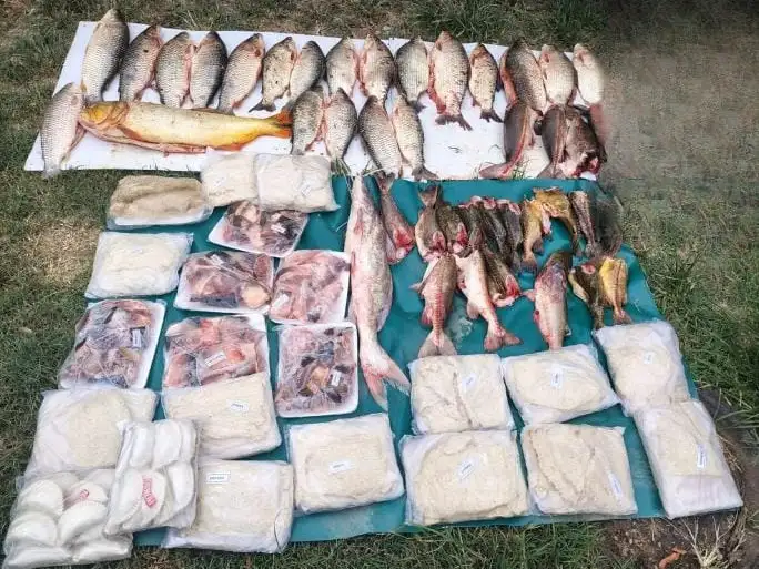 pesca ilegal - 1