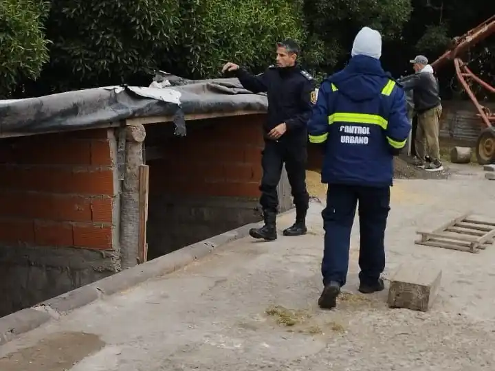 Quequén: clausuraron dos lugares que compraban cereal ilegalmente