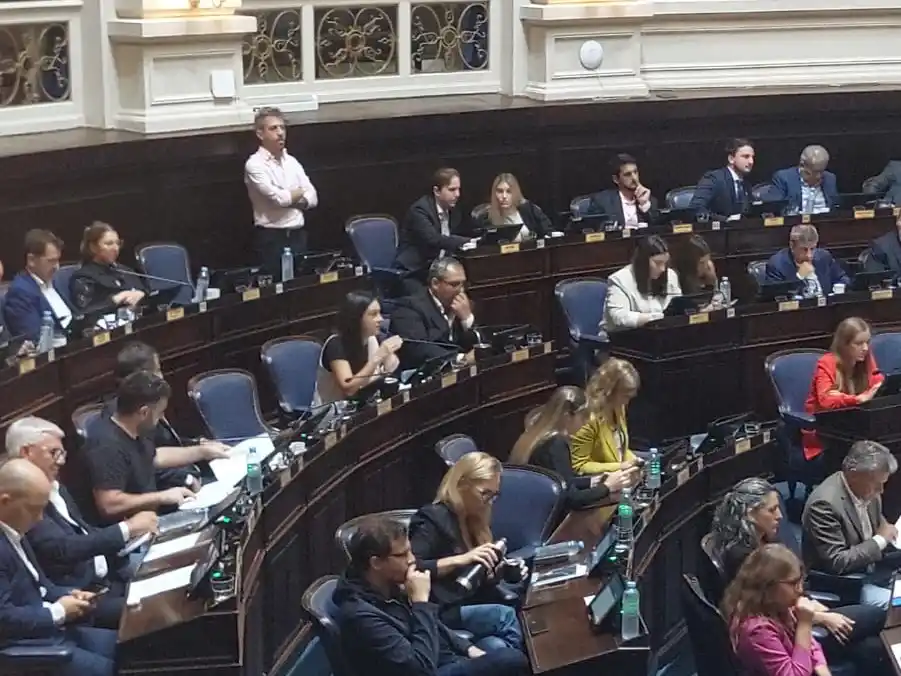 Ayelén Rasquetti expone sobre el proyecto de su autoría en la cámara de Diputados.