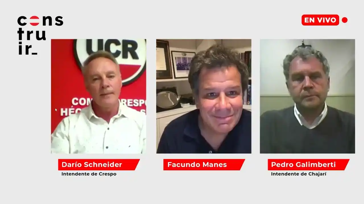 Manes participó de una videoconferencia con Galimberti y Schneider