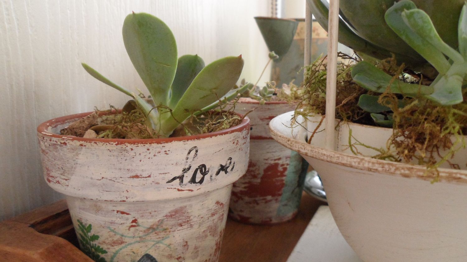 Reciclá y dale un nuevo look a tu casa