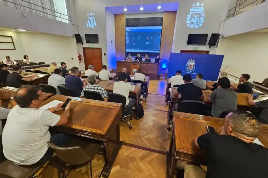 El Torneo Promocional Amateur lo jugarán 14 clubes y este primer año no tendrá ascensos ni descensos