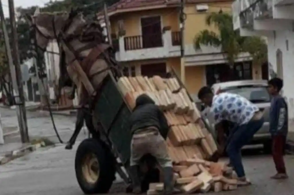 Caballo quedó en el “aire” debido al peso que tiraba