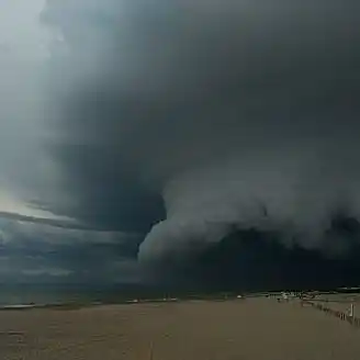 Temporal azotó a Villa Gesell: Más de 100 árboles caídos, voladura de techos y media ciudad sin luz