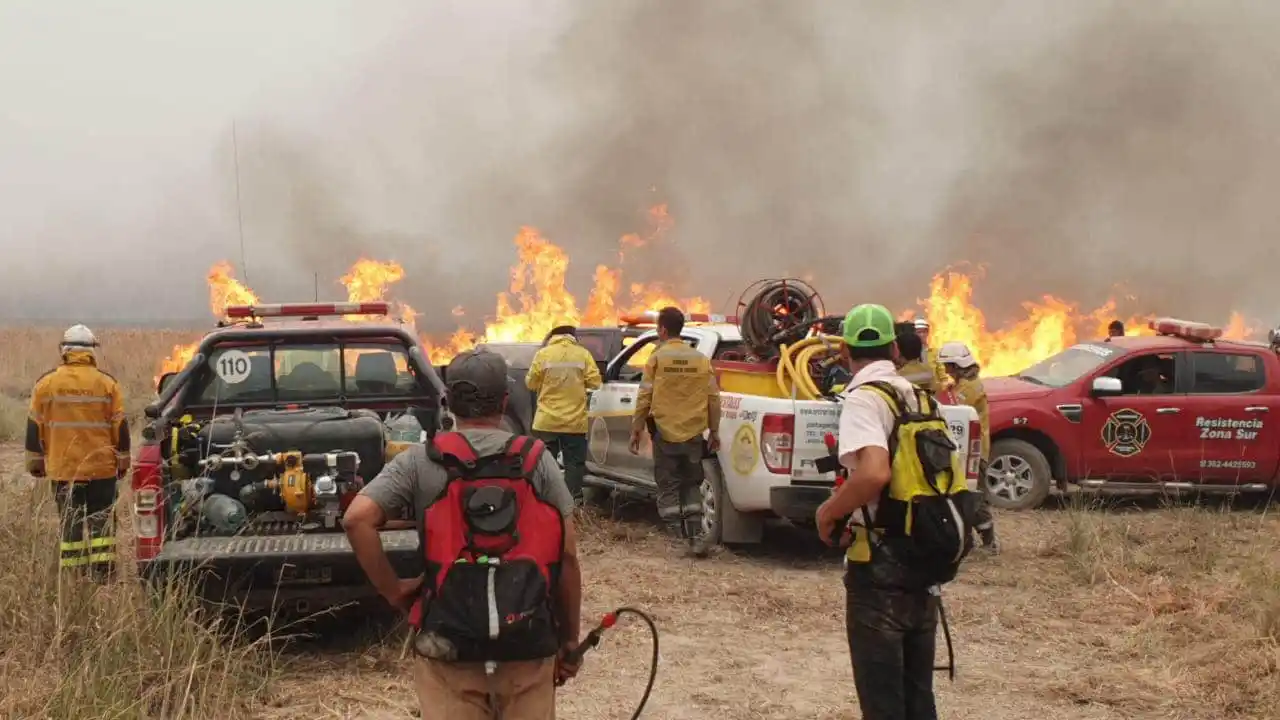 Los incendios en Corrientes preocupan al sector foresto industrial de Entre Ríos